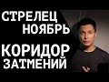 Стрелец ноябрь коридор затмений начинается гороскоп Стрелец Чудинов Павел