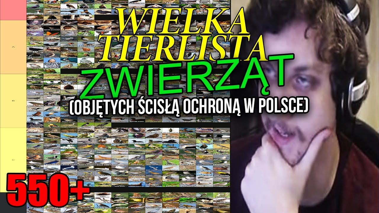 WIELKA TIERLISTA zwierząt objętych ścisłą ochroną w Polsce (ponad 550)