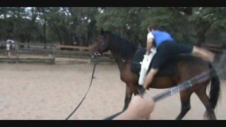 Jumping Onto A Moving Horse Horse Vaulting