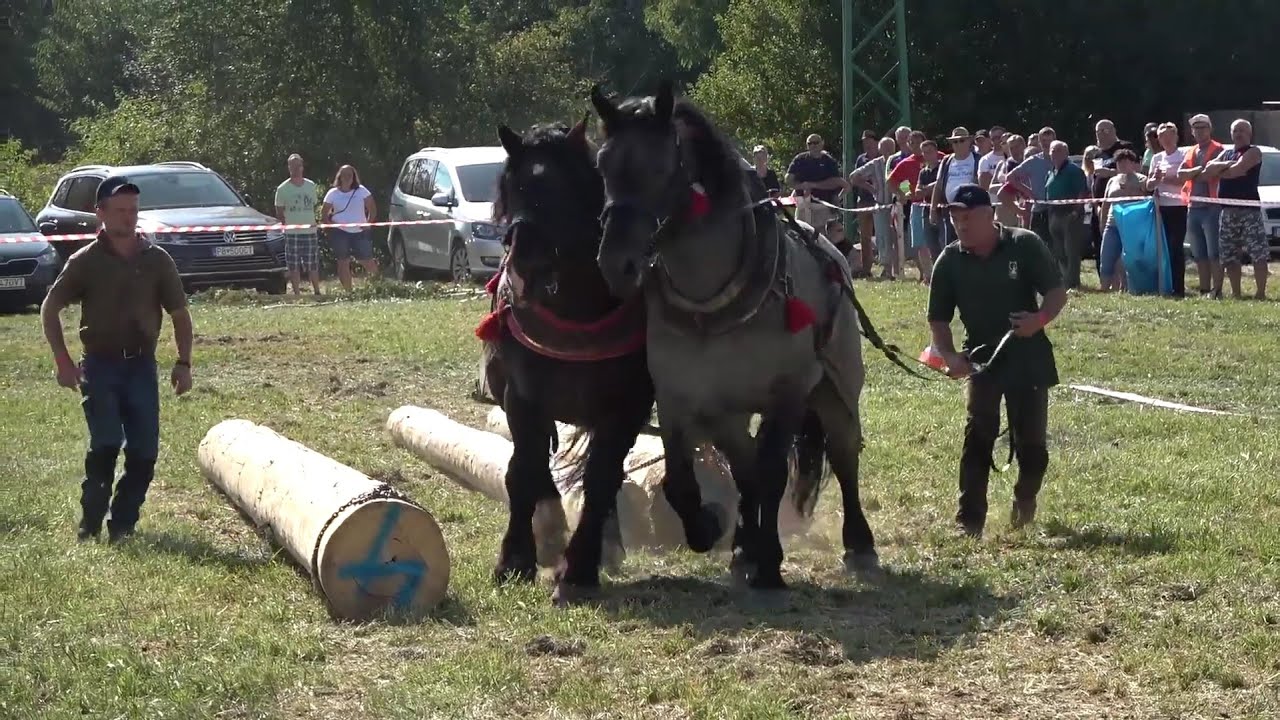 Steinberg a Oidipus, víťazi ťažkého ťahu (Pečeňany 2021)