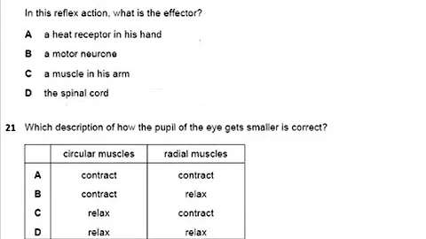 IGCSE BIOLOGY 0610 DISCUSSION CHAPTER 14 COORDINATION RESPONSE MULTIPLE CHOICE
