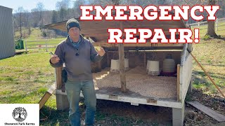 No Place For CHICKS! - Broken Brooder