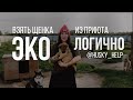 Взять собаку из приюта ЭКО ЛОГИЧНО. Фильм о приюте ​⁠@husky_help