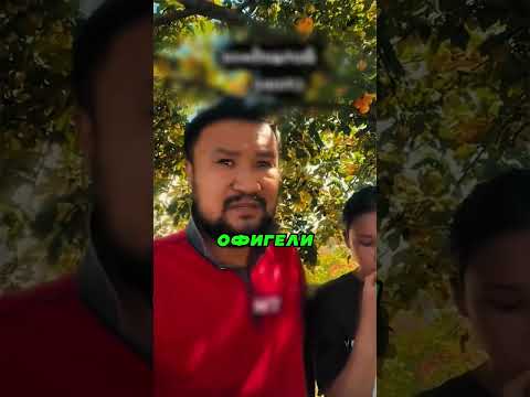 Волшебное Слово, Которое Заставит Родителей Выполнить Всё Что Угодно 🧙♂️🗣️🎁