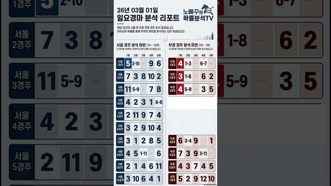 260301 (일) 일요경마 | 노빠꾸의 확률분석 마번 | 잘 조합해서 고배당 잡으세요! | #경마 #경마정보 #경마예상마번 #이번주경마 #이번주경마예상 #금요경마 #금요경마예상