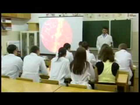 Абитуриент, ролик № 2