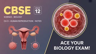 CBSE Grade 12 Science (Biology) Ch 3 Human Reproduction Notes
