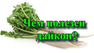 Чем полезен дайкон? Что такое дайкон?