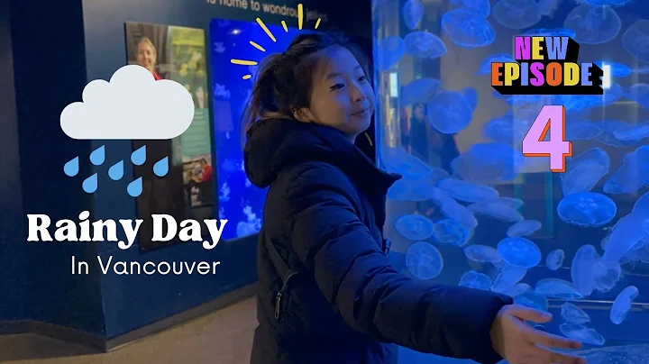 Vancouver’s best Rainy Day Activities: From the Aquarium to Indoor Fun!