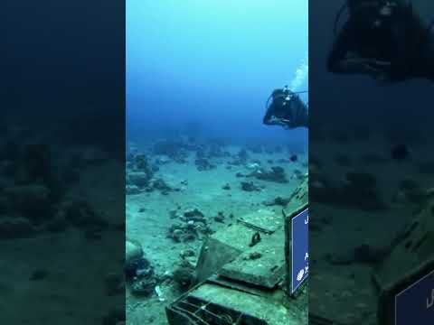 Aqaba Diving Academy welcome — Underwater Military Museum