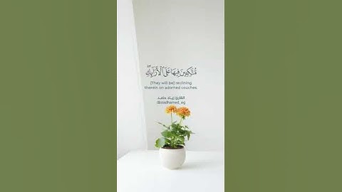 القارئ الجميل زياد حامد