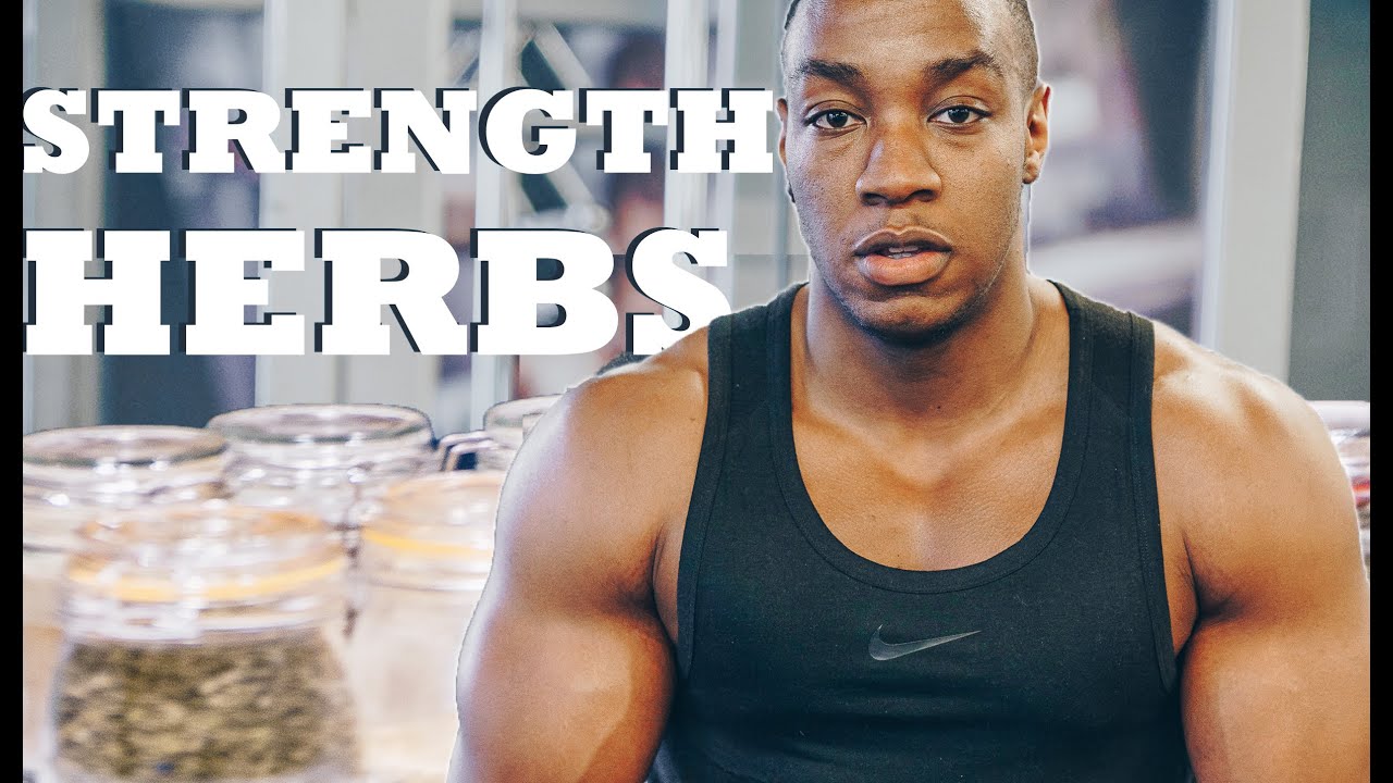 siberian ginseng reviews 4 HERBS I drink for strength & endurance at gym