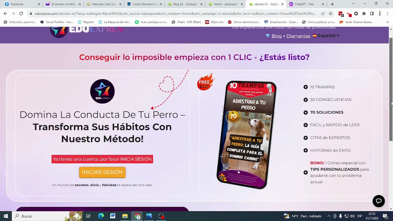 REDES CPA PARA PRINCIPIANTES  DINERO FACIL   LOCURA