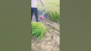 smart tool for cutting grass quickly #shorts