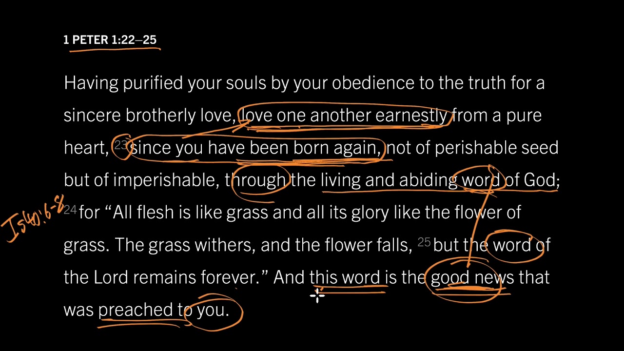 We Cannot Love Without Hope 1 Peter 1 22 25 Part 2 YouTube we-cannot-love-without-hope-1-peter-1-22-25-part-2-youtube