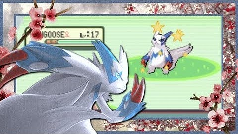 LIVE!! Shiny Zangoose FINALLY Appears in Ruby After 37,975 REs - Longest Hunt!