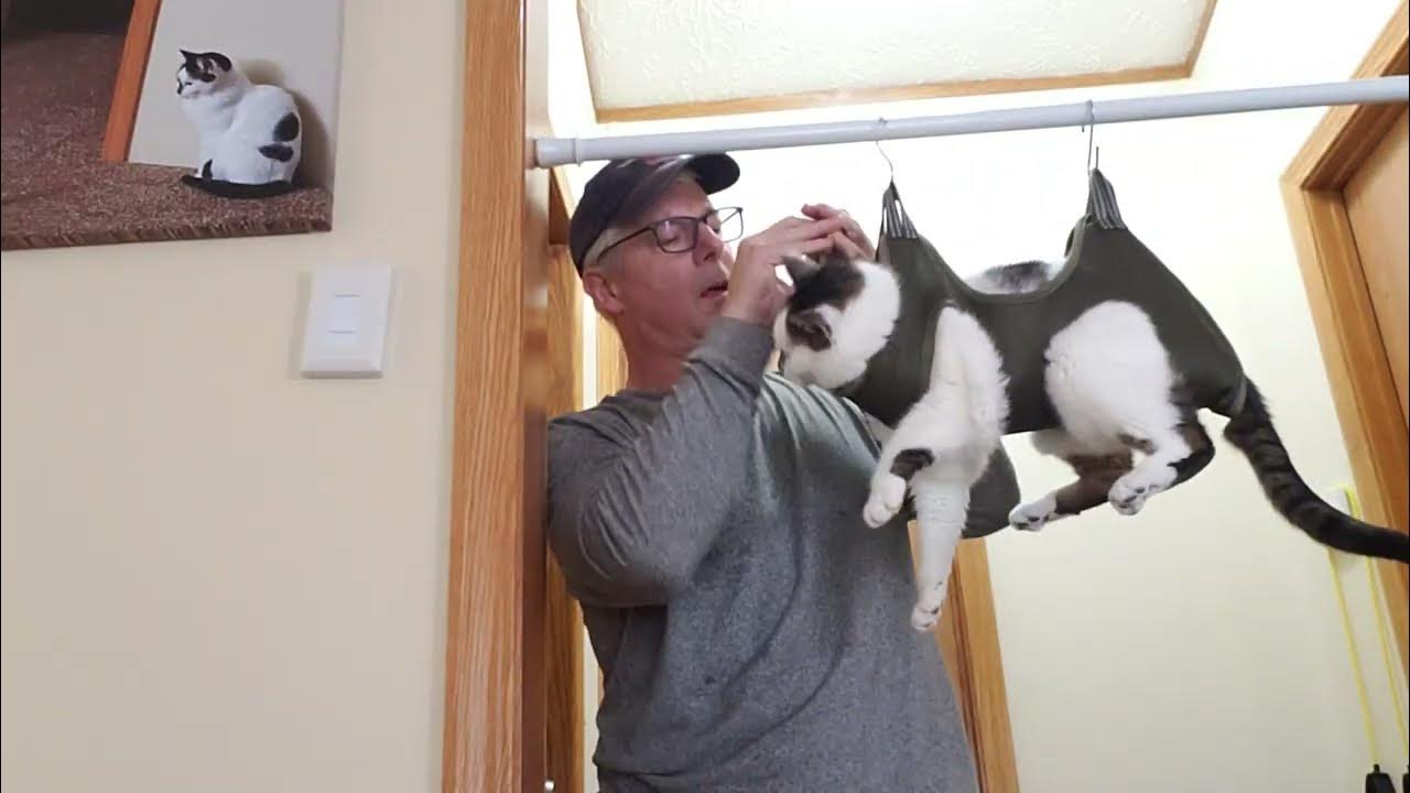 Cat Sling to Trim Nails YouTube