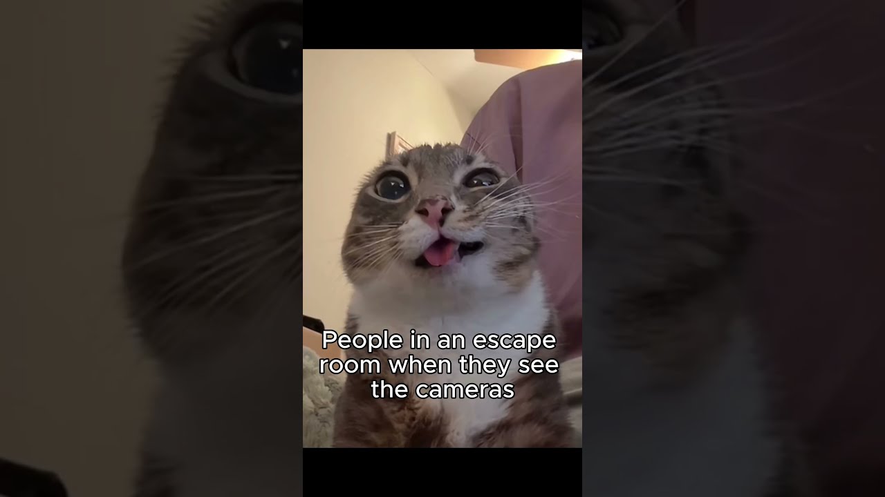 Get Observed Escaperoom Getoutgames Customersbelike Fyp