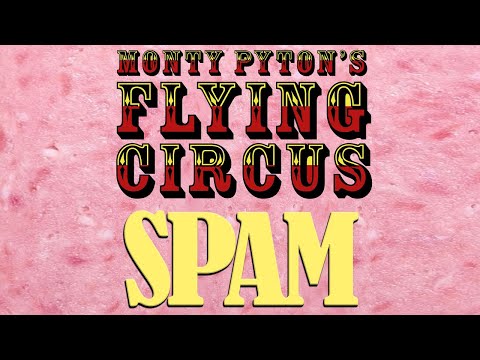 MONTY PYTHON'S FLYING