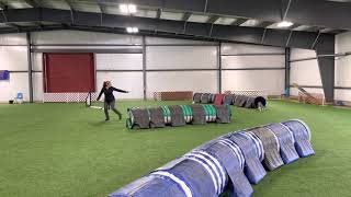 Indy young dog sequencing