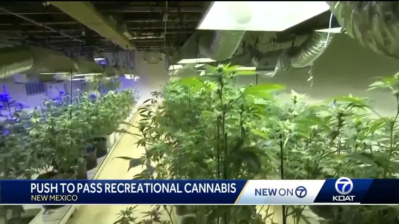 Legal recreational cannabis update 2