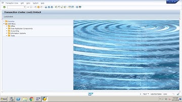 How to monitor T codes in SAP BASIS Part-1