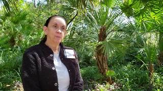 Why I'm a Master Gardener Volunteer: Dianne Busch