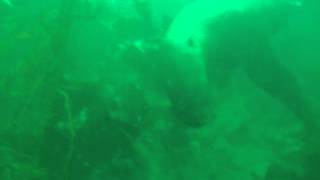 DSCF5205