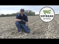 Soybean school five key agronomic decisions for planting season