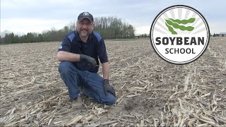 Soybean School: Five key agronomic decisions for planting season