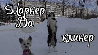видео: Маркер  картинка: Маркер