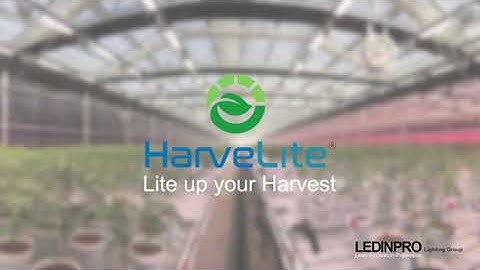 HarveStation - Plant Factory Wireless Lighting Control System