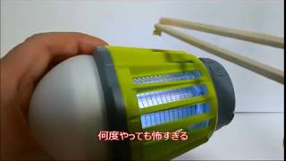 enkeeo 電撃殺虫器 の威力に「ビクッ」となったビデオ