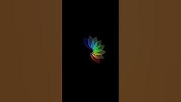 python turtle 🐢🐢 turtle design 💫✨ #python #turtle #shorts #youtube  💯💥