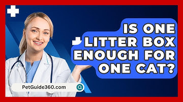 Is One Litter Box Enough For One Cat? - PetGuide360.com
