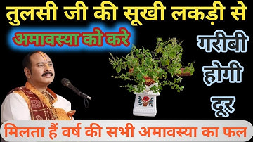 17 July सावन महीने की सोमवती अमावस्या को तुलसी की सूखी लकड़ी से करे ये उपाय। प्रदीप मिश्रा के टोटके🙏