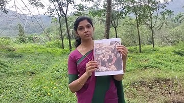 2nd STD Lesson 8 Part 2