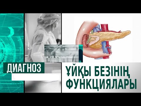 Бейне: Эндокриндік және экзокриндік қызметтері бар ма?