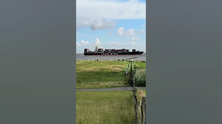 Yang Ming ship spotting and sheep spotting at Altenbruch, Cuxhaven Germany