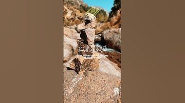 القارئ ماهر المعيقلي - {إنك ميت وإنهم ميتون ثم إنكم يوم القيامة عند ربكم تختصمون} {سورة الزمر}