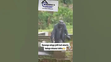 Akatambi Ka Musilaamu Ku Malaalo Nga Aloga 