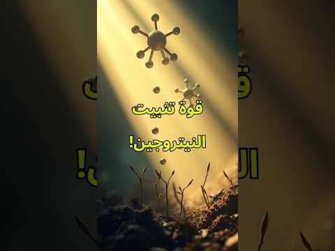 بكتيريا ديازوتروف سر الزراعة المستدامة وتأثيرها على البيئة معلومات العربية اشتراك اكسبلور