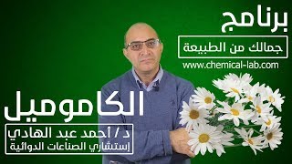 فوائد زهرة الكاموميل للبشرة والجسم