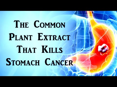 THIS PLANT EXTRACT THAT KILLS STOMACH CANCER!!