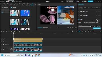 (HSL Adjust Invert Color LUT in Description) How to make X Caught A Cold on CapCut PC with LUTs
