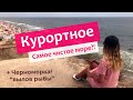 Курортное - классный курорт под Одессой, альтернатива Затоке! Самое чистое море и широкий пляж!
