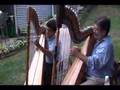 Cascada Musica Paraguaya Arpa y Guitarra