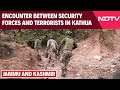 J&amp;K News | Encounter Between Security Forces And Terrorists In Kathua, Search Operation Underway