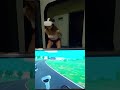 vr симулятор играю #shorts