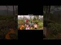 This and no stress | Munnar Diaries #shortsyoutube #ashortaday #travelvideo #munnartour